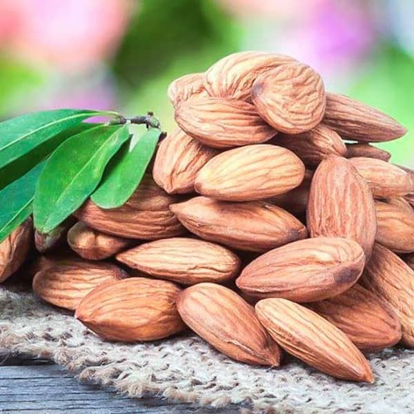 تصویر 4 از خرید مغز بادام درختی + قیمت عالی با کیفیت